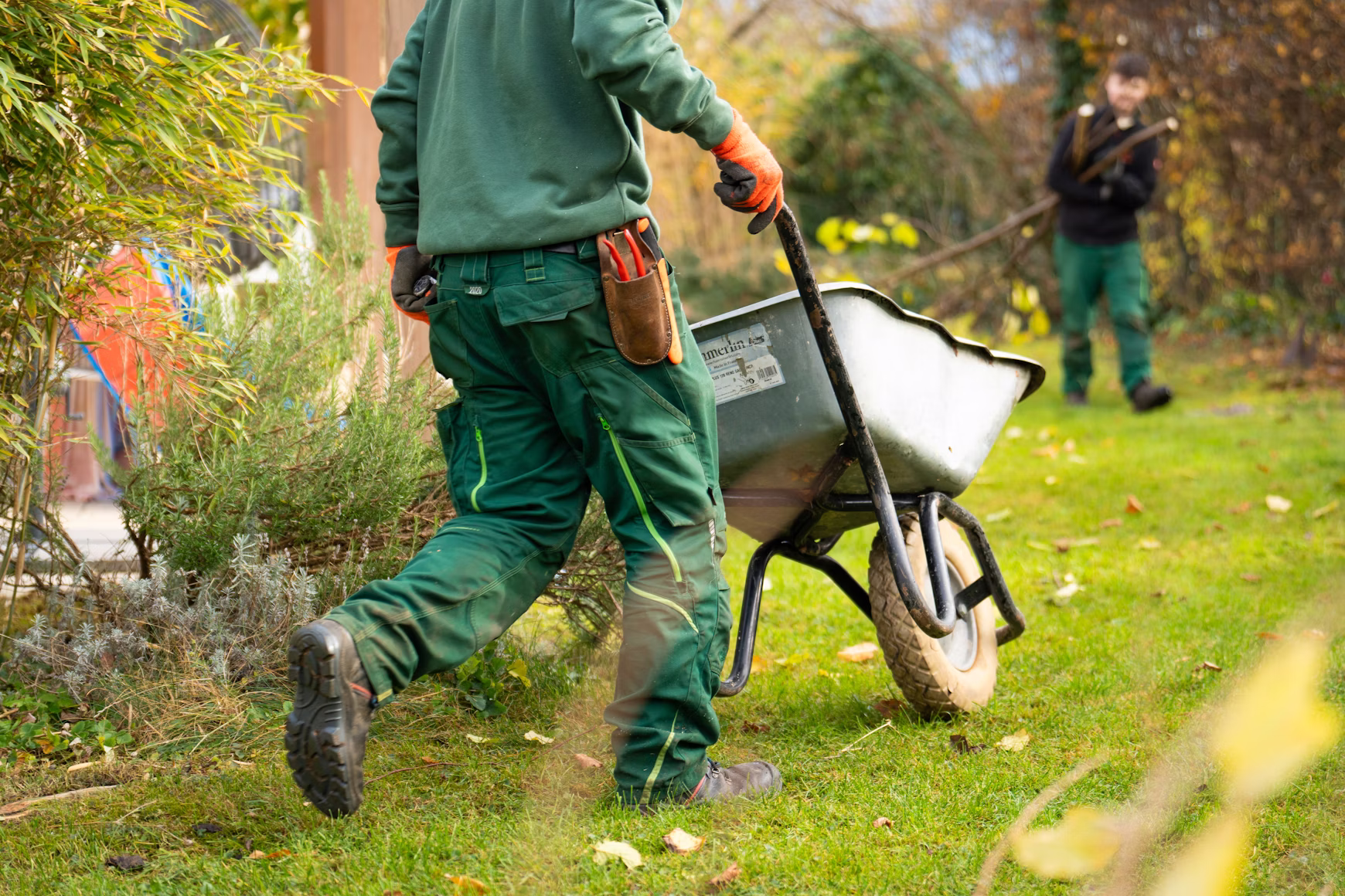 Garden maintenance — neatly trimmed lawn and tidy garden borders